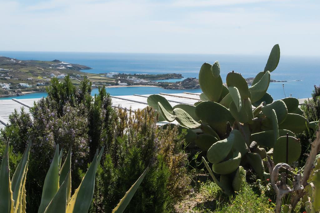 Βίλα Psarou Summer Ψαρού